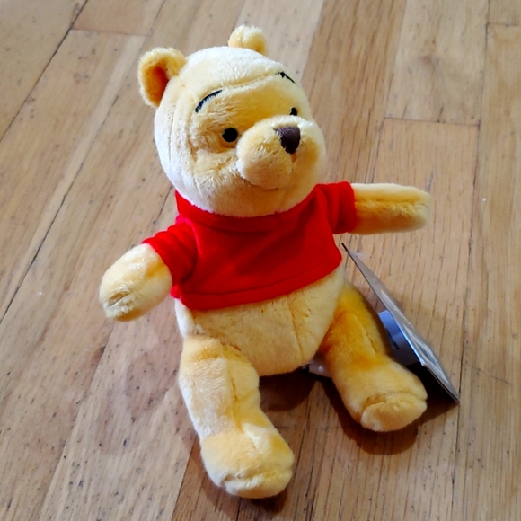 Disney Other - WINNIE THE POOH